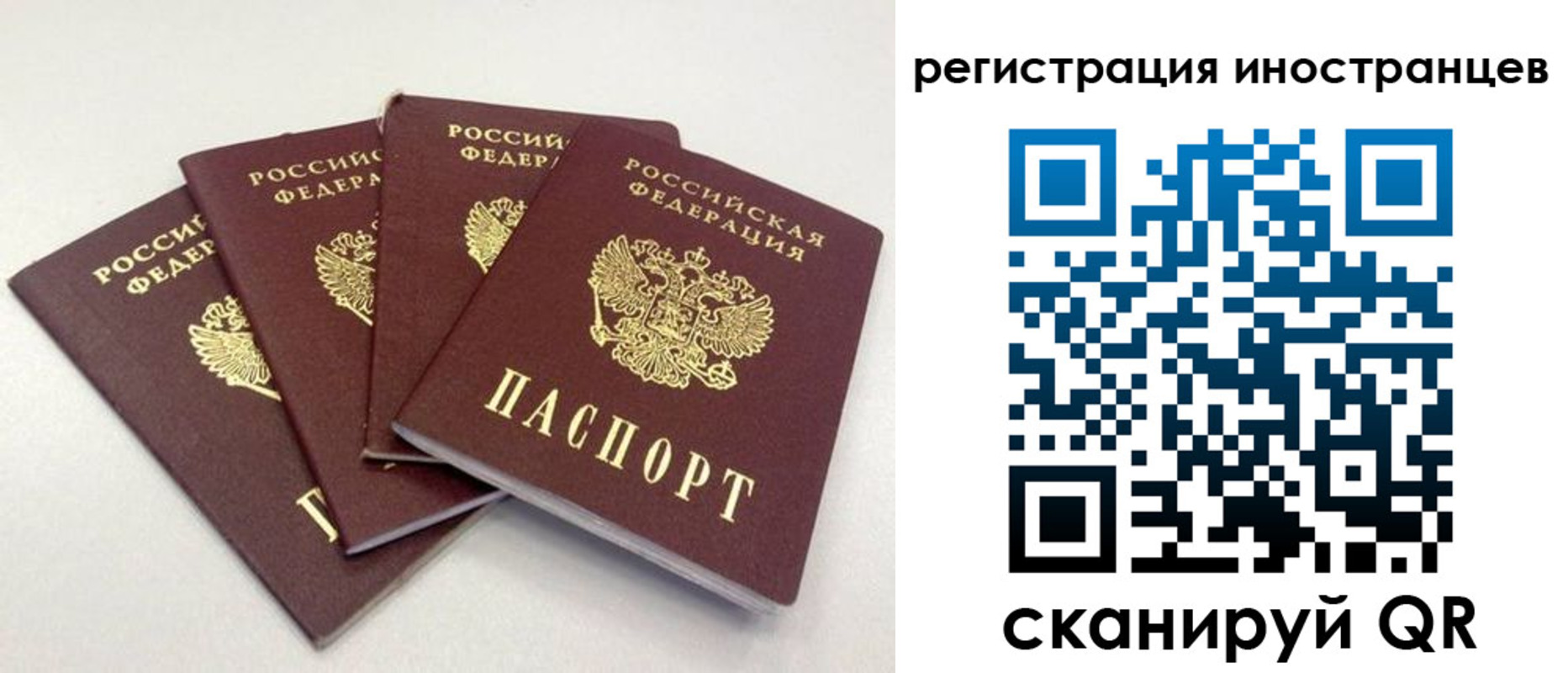 временная регистрация для школы в Тейково